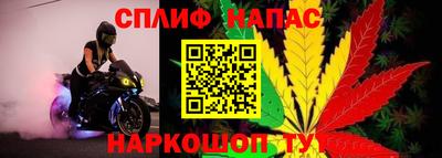 mdpv Уссурийск