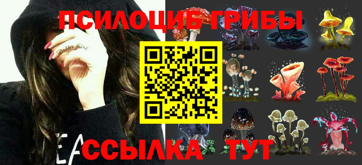Псилоцибиновые грибы Cubensis  Вход с VPN  Мытищи  Галлюциногенные грибы прущие грибы 