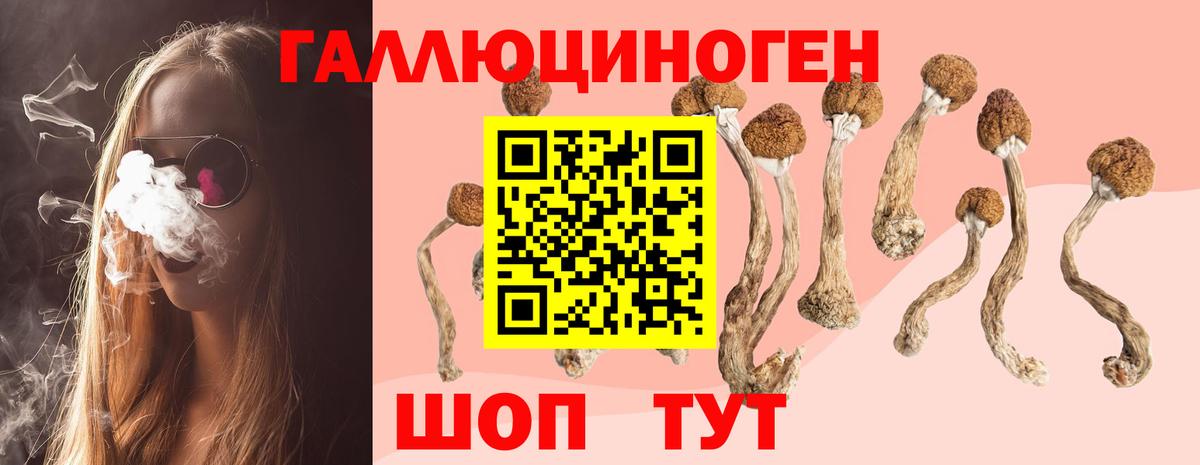 Галлюциногенные грибы мицелий Мытищи