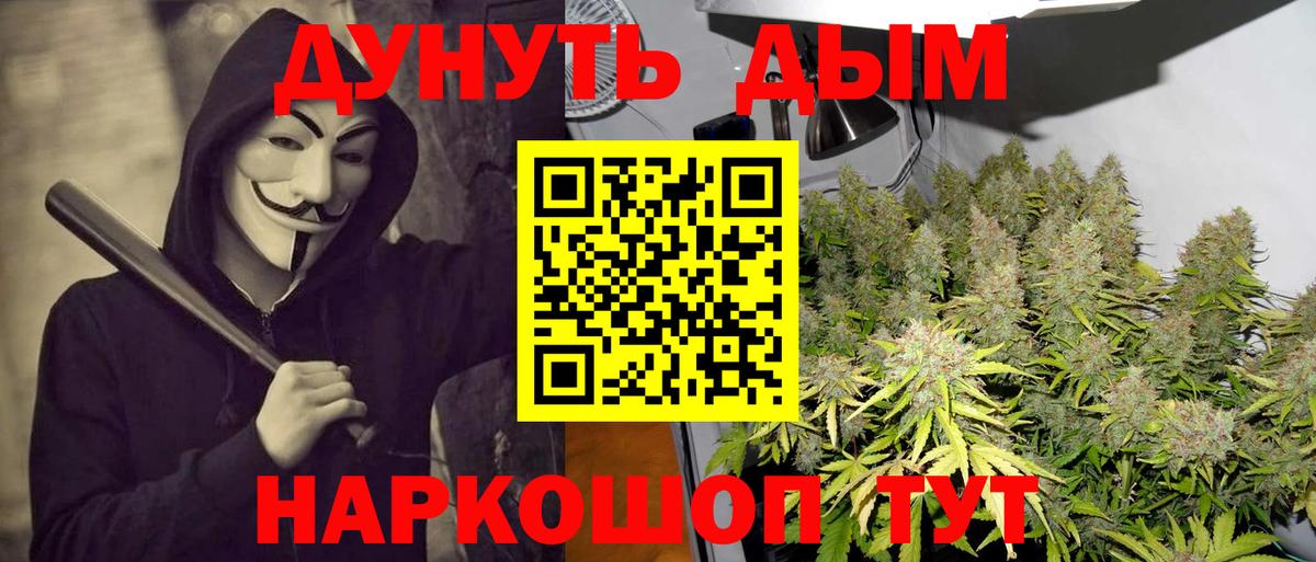 Бошки Шишки планчик  Вход с VPN  Каннабис Ganja  Мытищи  Канабис White Widow 